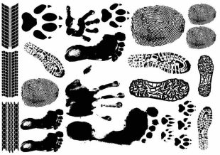Tattoo-Motive Fußspuren, Pfote und Fingerabdrücke.
