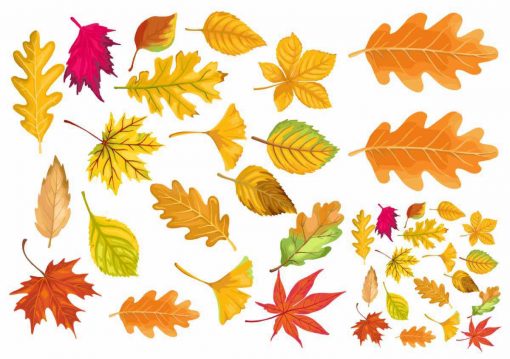 Herbstblätter in schönen Farben als falsche Tattoos.