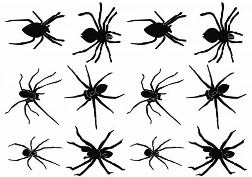 Spinnen-Tätowierungen, Spinne, Spinnen, schwarze Spinnen gefälschte Tätowierungen.